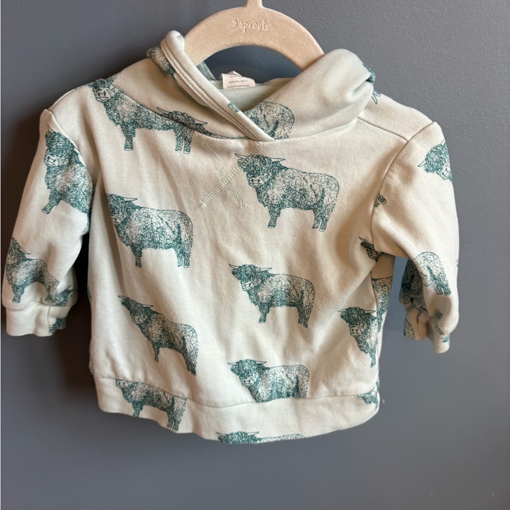 Kate Quinn Long Sleeve Skinny Hoodie in Highland Cows